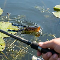 SPRO Dean Rojas Signature Series Bronzeye Popper Frog