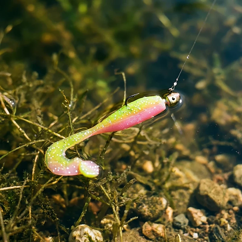 Gene Larew Bobby Garland 2-1/2" Stroll'R Soft Baits 12-Pack