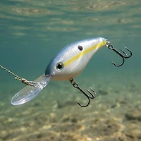 Strike King Pro-Model 6XD 4-3/4" Crankbait