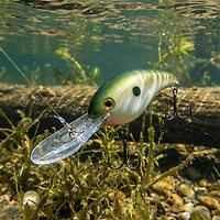 Strike King® Pro-Model® 5XD Crankbait