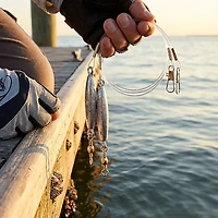 Eagle Claw 20 in Saltwater Rigs 2-Pack