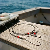 Eagle Claw Lazer Sharp 48 in Saltwater Rigs 2-Pack