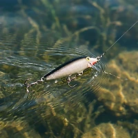 Rapala® Original Floater® 1-1/2" Lure