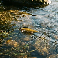 Rapala® Original Floater® 2" Lure