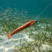 Berkley® Gulp!® 3" Shrimp Baits 6-Pack