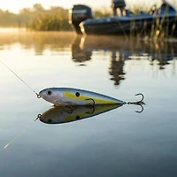 Strike King KVD Sexy Dawg Junior 3-1/2" Topwater Bait