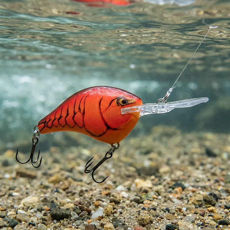 Rapala® DT® Series DT06 Crankbait