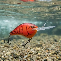Rapala® DT® Series DT06 Crankbait