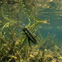 Berkley® Gulp! Alive! 1" Cricket