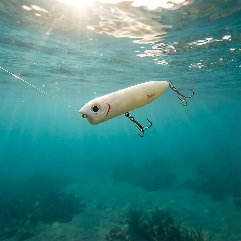 Heddon Chug'n Spook Jr. 3-1/2" Topwater Bait