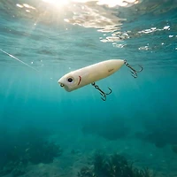 Heddon Chug'n Spook Jr. 3-1/2" Topwater Bait