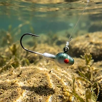 Big Bite Baits Minnow Jig