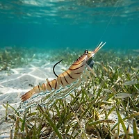 Egret Baits Vudu Shrimp Soft 2-Pack