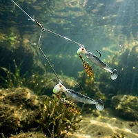 Road Runner® Bang Shad Buffet Rig