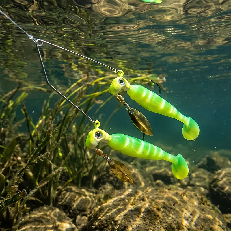 Road Runner® Bang Shad Buffet Rig