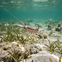 Egret Baits Vudu Shrimp 3" 2-Pack