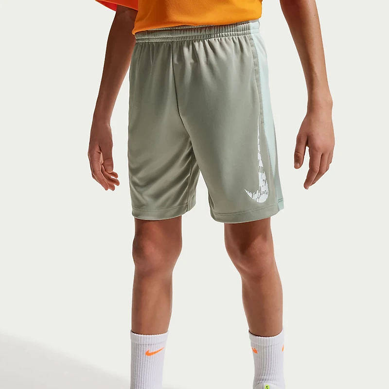 Nike Boys' Dri-FIT Trophy23 Shorts 5 in.