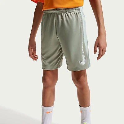 Nike Boys' Dri-FIT Trophy23 Shorts 5 in.