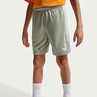 Nike Boys' Dri-FIT Trophy23 Shorts 5 in.