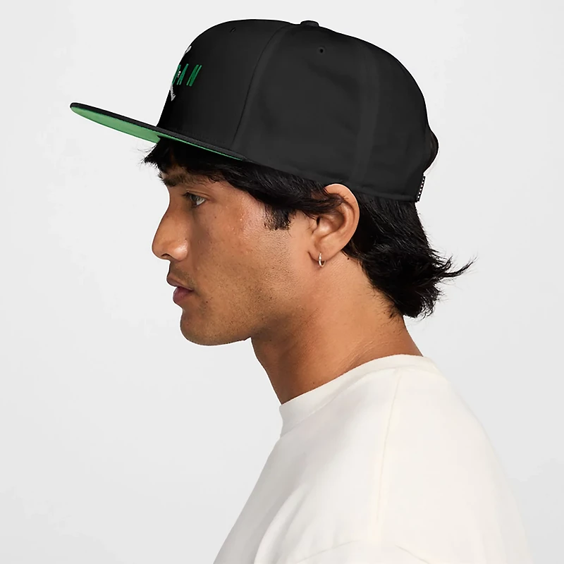 Jordan Men's Pro Structured Cap