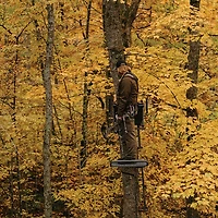 Rivers Edge Lounger Hang‑On Treestand