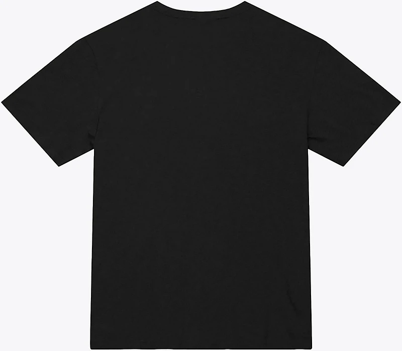 Mitchell & Ness Men's Dallas Stars Script Sweep Arch Short Sleeve T-shirt