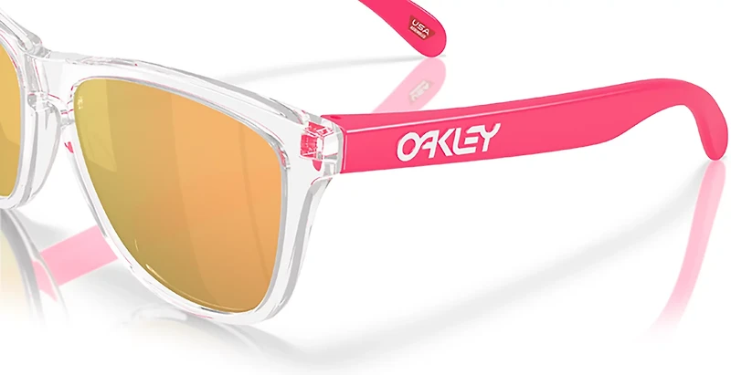 Oakley Adults' Frogskins Sunglasses