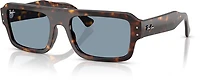Ray-Ban Adults' Flacko Sunglasses