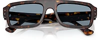 Ray-Ban Adults' Flacko Sunglasses