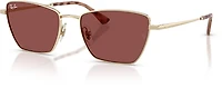 Ray-Ban Adults' RB3783 Sunglasses