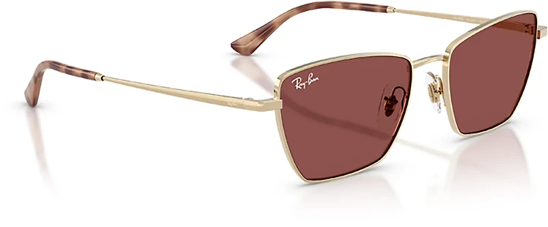 Ray-Ban Adults' RB3783 Sunglasses