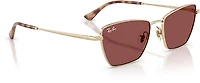 Ray-Ban Adults' RB3783 Sunglasses