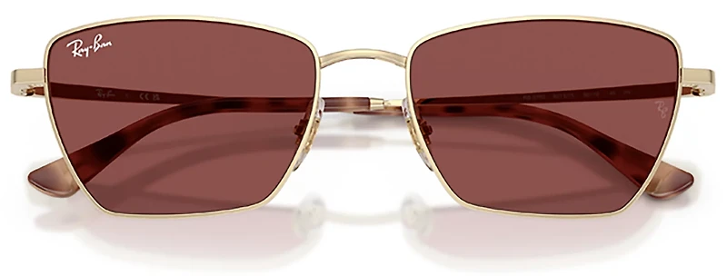 Ray-Ban Adults' RB3783 Sunglasses