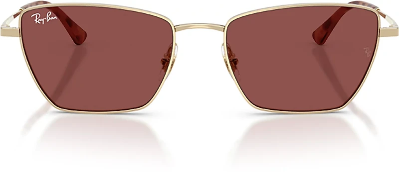 Ray-Ban Adults' RB3783 Sunglasses