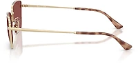 Ray-Ban Adults' RB3783 Sunglasses