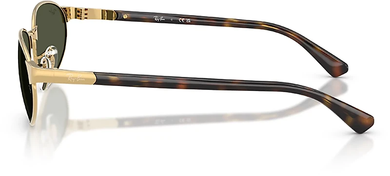 Ray-Ban Adults' RB3777 Sunglasses