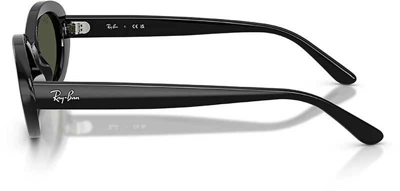 Ray-Ban Adults' RB2223 Sunglasses