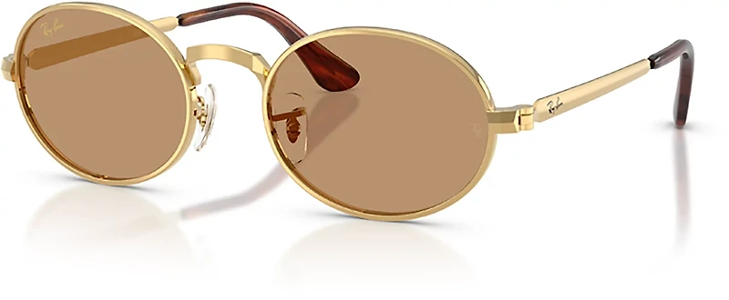 Ray-Ban Adults RB3931 A$AP Metal Sunglasses