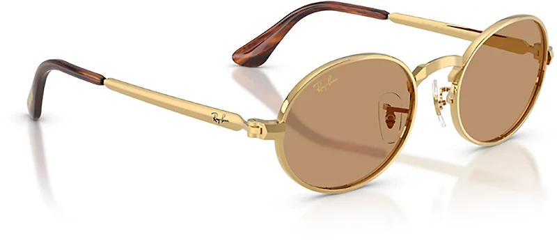 Ray-Ban Adults RB3931 A$AP Metal Sunglasses