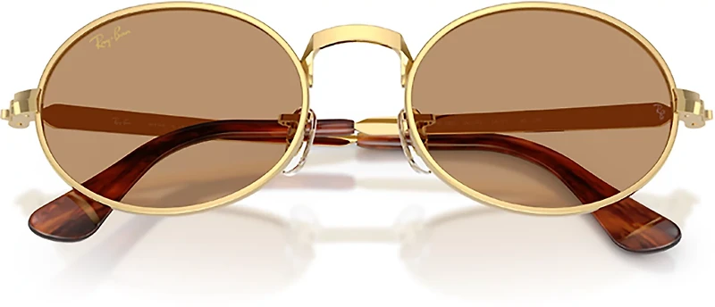 Ray-Ban Adults RB3931 A$AP Metal Sunglasses