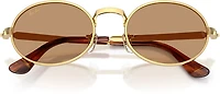 Ray-Ban Adults RB3931 A$AP Metal Sunglasses