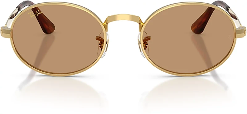 Ray-Ban Adults RB3931 A$AP Metal Sunglasses