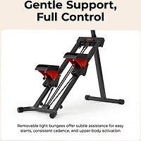 Sunny Health & Fitness Total-Body Vertical Climber Exercise Machine