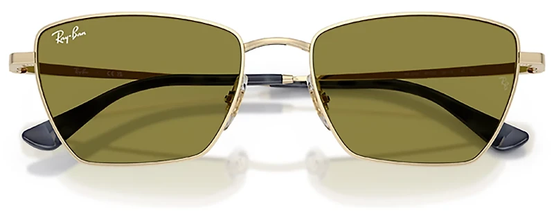 Ray-Ban Adults' RB3783 Sunglasses