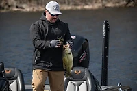 Berkley PowerBait MaxScent Moeba