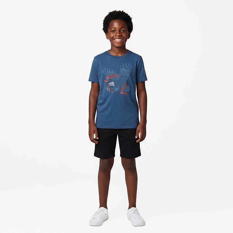 Under Armour Boys' Freedom Eagle Short Sleeve T-shirt