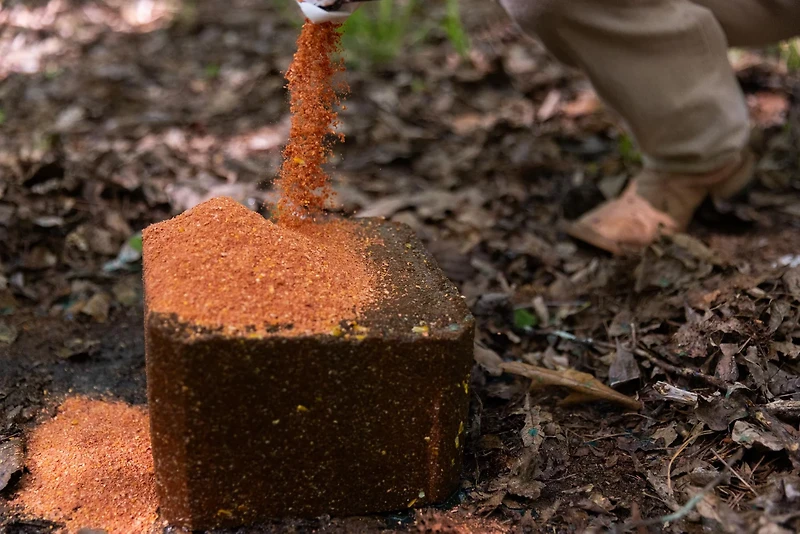 Anilogic CRUSH Apple Granular Attractant