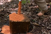Anilogic CRUSH Apple Granular Attractant