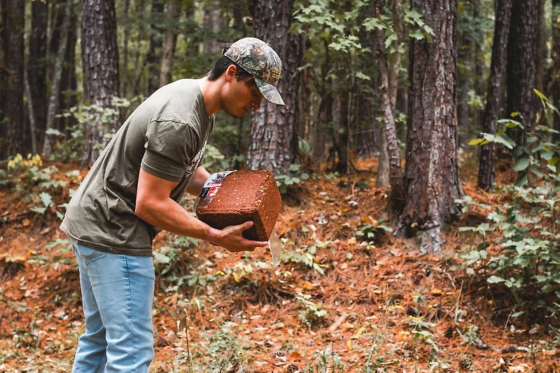 Anilogic CRUSH Apple Block Attractant