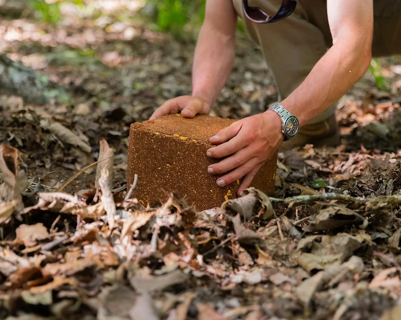 Anilogic CRUSH Apple Block Attractant